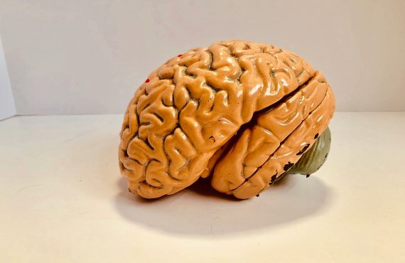How Quantitative EEG Has Modernized Mental Health Diagnosing